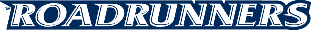 Texas-SA Roadrunners 2008-Pres Wordmark Logo v5 diy fabric transfers